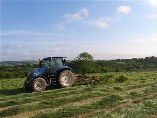 Enjoy a taste of farm life while staying at Forda Farm B&B, near Holsworthy and Bude, EX22 7BS.